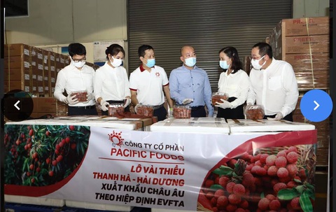 Vải thiều lần đầu xuất đi EU để hưởng ưu đãi EVFTA - Ảnh 1. Vải thiều lần đầu xuất đi EU để hưởng ưu đãi EVFTA - Ảnh 1.