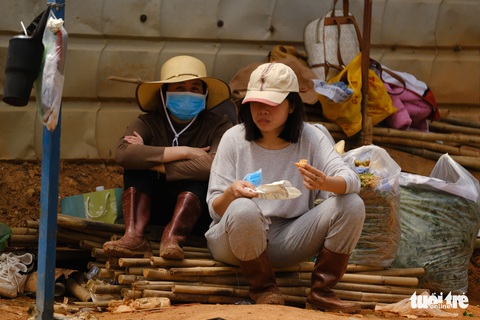 Người Đà Lạt hào phóng, tặng Sài Gòn nguyên vườn rau - Ảnh 7. Người Đà Lạt hào phóng, tặng Sài Gòn nguyên vườn rau - Ảnh 7.