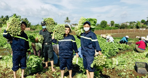 Những chuyến xe từ Tây Nguyên chở rau củ, gửi yêu thương về Sài Gòn - Ảnh 6. Những chuyến xe từ Tây Nguyên chở rau củ, gửi yêu thương về Sài Gòn - Ảnh 6.