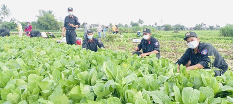 Những chuyến xe từ Tây Nguyên chở rau củ, gửi yêu thương về Sài Gòn - Ảnh 2. Những chuyến xe từ Tây Nguyên chở rau củ, gửi yêu thương về Sài Gòn - Ảnh 2.