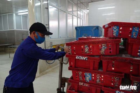 Người Đà Nẵng gửi 7 tấn cá tươi tiếp sức Sài Gòn chống dịch - Ảnh 2. Người Đà Nẵng gửi 7 tấn cá tươi tiếp sức Sài Gòn chống dịch - Ảnh 2.