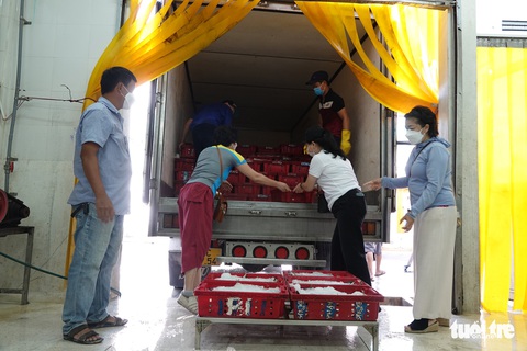 Người Đà Nẵng gửi 7 tấn cá tươi tiếp sức Sài Gòn chống dịch - Ảnh 1. Người Đà Nẵng gửi 7 tấn cá tươi tiếp sức Sài Gòn chống dịch - Ảnh 1.