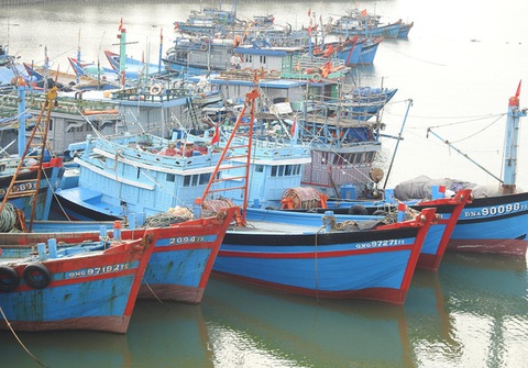 Phó thủ tướng: Tuyệt đối không khai thác hải sản trái phép để bị áp thẻ đỏ - Ảnh 1. Phó thủ tướng: Tuyệt đối không khai thác hải sản trái phép để bị áp thẻ đỏ - Ảnh 1.
