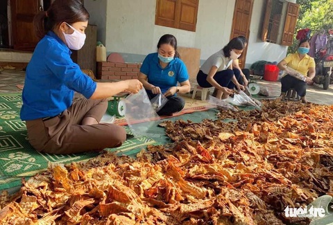 Bà con xứ Nghệ gom rau, làm khô cá gửi người dân TP.HCM - Ảnh 8. Bà con xứ Nghệ gom rau, làm khô cá gửi người dân TP.HCM - Ảnh 8.