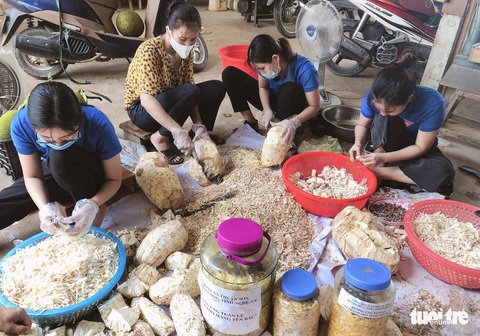 Bà con xứ Nghệ gom rau, làm khô cá gửi người dân TP.HCM - Ảnh 9. Bà con xứ Nghệ gom rau, làm khô cá gửi người dân TP.HCM - Ảnh 9.
