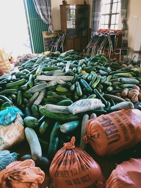 Thương miền Nam gồng mình chống dịch, dân Hà Tĩnh góp tiền, hàng tấn nông sản ủng hộ - Ảnh 1. Thương miền Nam gồng mình chống dịch, dân Hà Tĩnh góp tiền, hàng tấn nông sản ủng hộ - Ảnh 1.