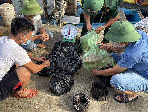 Phát hiện 45kg thuốc nổ trên tàu cá Nghệ An neo ở Vũng Tàu - Ảnh 1. Phát hiện 45kg thuốc nổ trên tàu cá Nghệ An neo ở Vũng Tàu - Ảnh 1.