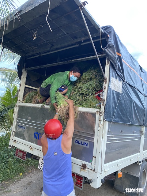 ‘Nhóm dễ thương’ gom hơn 10 tấn rau củ tặng bếp ăn dã chiến, khu vực phong tỏa TP.HCM - Ảnh 1. ‘Nhóm dễ thương’ gom hơn 10 tấn rau củ tặng bếp ăn dã chiến, khu vực phong tỏa TP.HCM - Ảnh 1.