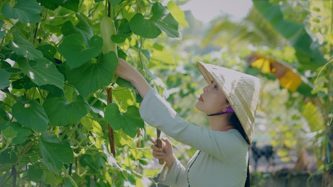 Khói Lam Chiều Mỹ Duyên luộc rau củ chấm kho quẹt, rất bắt cơm - Ảnh 5. Khói Lam Chiều Mỹ Duyên luộc rau củ chấm kho quẹt, rất bắt cơm - Ảnh 5.