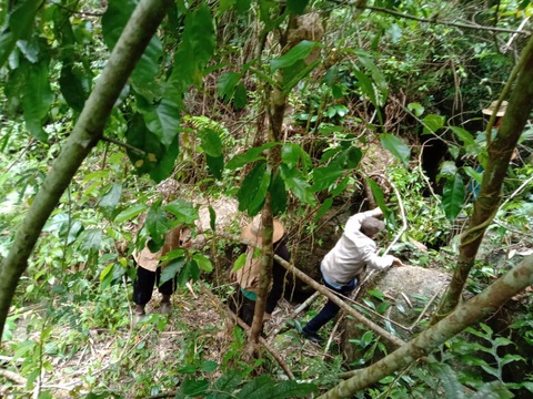 Thanh niên lạc cha mẹ khi vào rừng chơi, nửa tháng sau tìm thấy thi thể - Ảnh 1. Thanh niên lạc cha mẹ khi vào rừng chơi, nửa tháng sau tìm thấy thi thể - Ảnh 1.