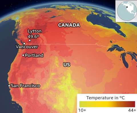 Hàng trăm người chết vì nắng nóng ở Mỹ, Canada - Ảnh 3. Hàng trăm người chết vì nắng nóng ở Mỹ, Canada - Ảnh 3.