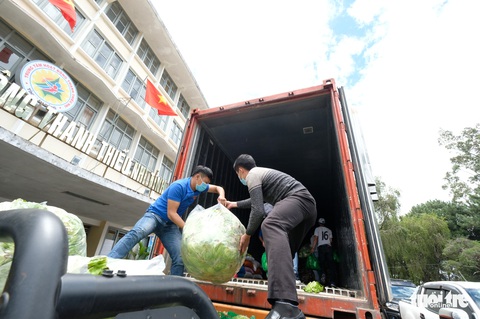 Thanh niên Lâm Đồng gửi 115 tấn rau đến vùng dịch - Ảnh 2. Thanh niên Lâm Đồng gửi 115 tấn rau đến vùng dịch - Ảnh 2.