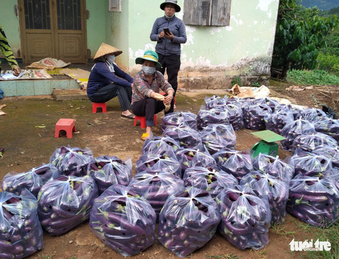 Thanh niên Lâm Đồng gửi 115 tấn rau đến vùng dịch - Ảnh 3. Thanh niên Lâm Đồng gửi 115 tấn rau đến vùng dịch - Ảnh 3.