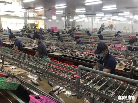 An Giang yêu cầu các doanh nghiệp xây dựng mô hình 3 tại chỗ để sản xuất - Ảnh 3. An Giang yêu cầu các doanh nghiệp xây dựng mô hình 3 tại chỗ để sản xuất - Ảnh 3.
