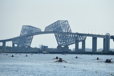 Hàu biển đe dọa điểm thi đấu quan trọng của Olympic Tokyo - Ảnh 1. Hàu biển đe dọa điểm thi đấu quan trọng của Olympic Tokyo - Ảnh 1.