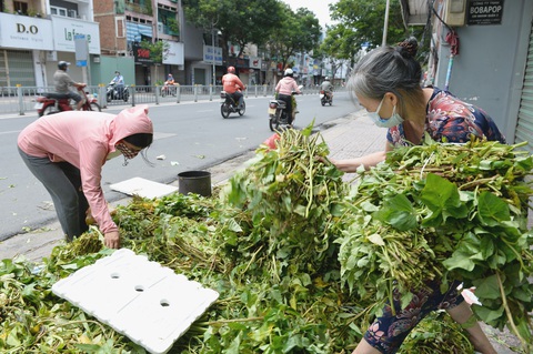Giữa đại dịch, cỗ máy nhân ái khổng lồ của người Sài Gòn không hề mệt mỏi - Ảnh 4. Giữa đại dịch, cỗ máy nhân ái khổng lồ của người Sài Gòn không hề mệt mỏi - Ảnh 4.