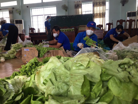 Lâm Đồng tặng Phú Yên 30 tấn rau quả giúp dân vùng phong tỏa dịch COVID-19 - Ảnh 3. Lâm Đồng tặng Phú Yên 30 tấn rau quả giúp dân vùng phong tỏa dịch COVID-19 - Ảnh 3.