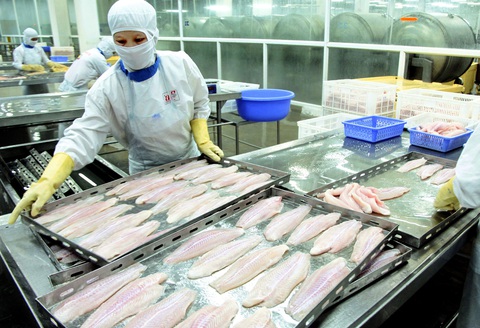 Xuất khẩu nông sản vẫn khởi sắc dù gặp nhiều khó khăn mùa dịch - Ảnh 2. Xuất khẩu nông sản vẫn khởi sắc dù gặp nhiều khó khăn mùa dịch - Ảnh 2.