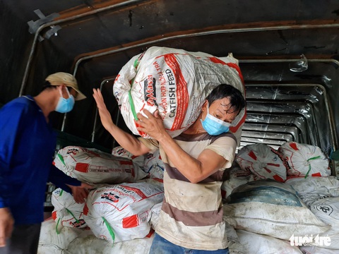 Dầm mưa bốc 22 tấn bắp, chanh bán giá vốn giúp nông dân miền Tây - Ảnh 1. Dầm mưa bốc 22 tấn bắp, chanh bán giá vốn giúp nông dân miền Tây - Ảnh 1.
