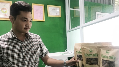 Những người dám giã từ ký lương - Kỳ 4: Chàng trai trẻ Đồng Tháp mong hương nhãn vươn xa - Ảnh 1. Những người dám giã từ ký lương - Kỳ 4: Chàng trai trẻ Đồng Tháp mong hương nhãn vươn xa - Ảnh 1.