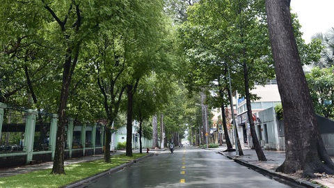 Tình yêu thành phố lấp lánh nơi những lời ca - Ảnh 1. Tình yêu thành phố lấp lánh nơi những lời ca - Ảnh 1.