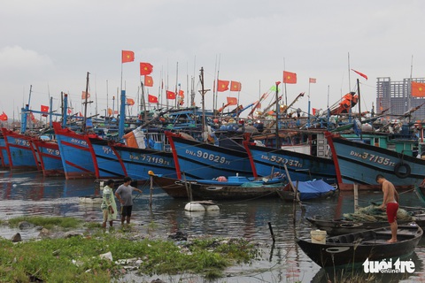 Có 19 ca mắc liên quan, Đà Nẵng đóng cửa cảng cá lớn nhất miền Trung - Ảnh 1. Có 19 ca mắc liên quan, Đà Nẵng đóng cửa cảng cá lớn nhất miền Trung - Ảnh 1.
