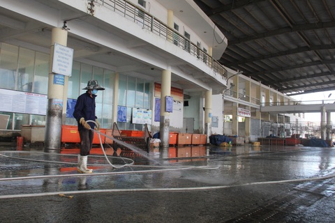 Đóng cửa cảng cá lớn nhất miền Trung, Đà Nẵng vẫn còn hơn 200 tấn thủy sản chờ tiêu thụ - Ảnh 2. Đóng cửa cảng cá lớn nhất miền Trung, Đà Nẵng vẫn còn hơn 200 tấn thủy sản chờ tiêu thụ - Ảnh 2.