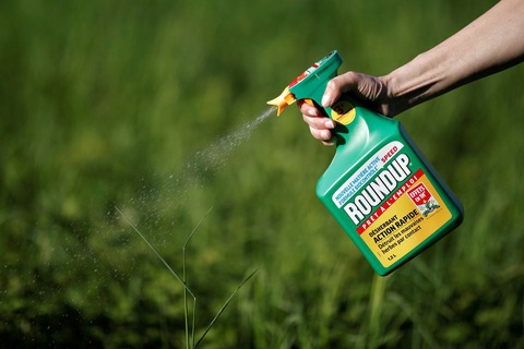 Thu thập thông tin nhà báo, người nổi tiếng, Monsanto bị phạt 473.000 USD - Ảnh 1. Thu thập thông tin nhà báo, người nổi tiếng, Monsanto bị phạt 473.000 USD - Ảnh 1.