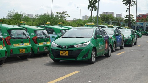 200 xe taxi Mai Linh được phép hoạt động trong thời gian Hà Nội giãn cách xã hội - Ảnh 1. 200 xe taxi Mai Linh được phép hoạt động trong thời gian Hà Nội giãn cách xã hội - Ảnh 1.