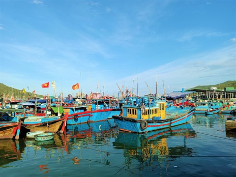 Từ 15-9, mở lại cảng Hòn Rớ, cảng cá lớn nhất Nam Trung Bộ - Ảnh 2. Từ 15-9, mở lại cảng Hòn Rớ, cảng cá lớn nhất Nam Trung Bộ - Ảnh 2.