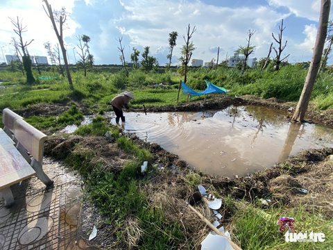 Vườn hoa mới bàn giao đã thành ‘rừng rậm’, công viên để hoang phế - Ảnh 3. Vườn hoa mới bàn giao đã thành ‘rừng rậm’, công viên để hoang phế - Ảnh 3.