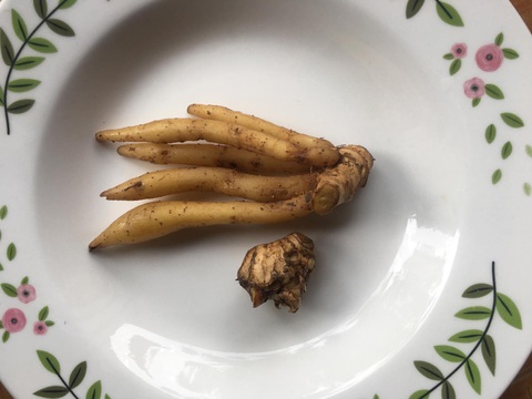 Bún nước lèo nấu từ mắm bò hóc, tặng người miền Tây ở thành phố những ngày giãn cách - Ảnh 2. Bún nước lèo nấu từ mắm bò hóc, tặng người miền Tây ở thành phố những ngày giãn cách - Ảnh 2.