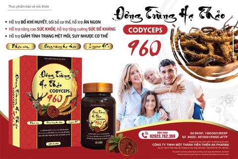 Tăng đề kháng chỉ với Đông trùng hạ thảo - Ảnh 1. Tăng đề kháng chỉ với Đông trùng hạ thảo - Ảnh 1.