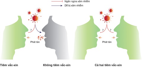 2 yếu tố quyết định khả năng giảm lây truyền virus của vắc xin COVID-19 - Ảnh 1. 2 yếu tố quyết định khả năng giảm lây truyền virus của vắc xin COVID-19 - Ảnh 1.