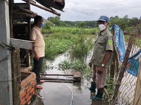 4 ca tử vong do sốt xuất huyết, Bình Phước ứng phó khẩn cấp - Ảnh 2. 4 ca tử vong do sốt xuất huyết, Bình Phước ứng phó khẩn cấp - Ảnh 2.