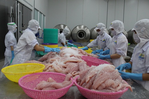 Thứ trưởng Bộ NN&PTNT: Không nên đóng cửa doanh nghiệp phòng chống dịch tốt - Ảnh 2. Thứ trưởng Bộ NN&PTNT: Không nên đóng cửa doanh nghiệp phòng chống dịch tốt - Ảnh 2.