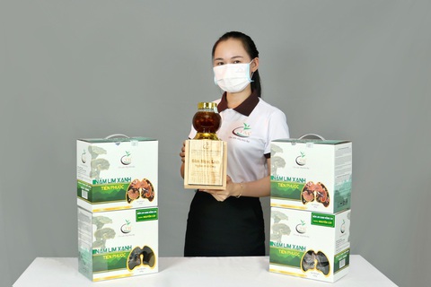 Triết Minh triển khai chương trình Mua Nấm Lim Xanh tặng Sâm Ngọc Linh - Ảnh 4. Triết Minh triển khai chương trình Mua Nấm Lim Xanh tặng Sâm Ngọc Linh - Ảnh 4.