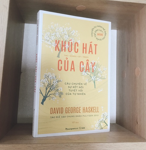 Lắng nghe Khúc hát của cây - Ảnh 1. Lắng nghe Khúc hát của cây - Ảnh 1.