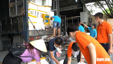 Những chuyến xe nghĩa tình đầu tiên mang 3 tấn cá từ Quảng Bình vào TP.HCM - Ảnh 1. Những chuyến xe nghĩa tình đầu tiên mang 3 tấn cá từ Quảng Bình vào TP.HCM - Ảnh 1.