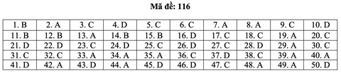 Bài giải môn toán kỳ thi tốt nghiệp THPT năm 2021 - Ảnh 22.