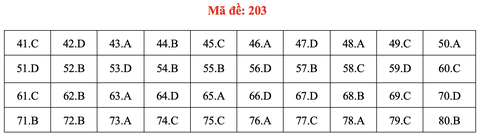 Đề và bài giải môn hóa thi tốt nghiệp THPT 2021 - Ảnh 8. Đề và bài giải môn hóa thi tốt nghiệp THPT 2021 - Ảnh 8.