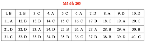Đề và bài giải môn vật lý thi tốt nghiệp THPT 2021 - Ảnh 8. Đề và bài giải môn vật lý thi tốt nghiệp THPT 2021 - Ảnh 8.
