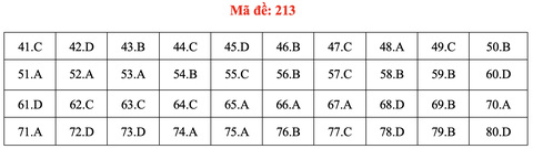 Đề và bài giải môn hóa thi tốt nghiệp THPT 2021 - Ảnh 18.