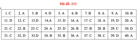 Đề và bài giải môn vật lý thi tốt nghiệp THPT 2021 - Ảnh 18.