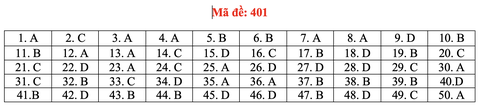 Đề và bài giải môn ngoại ngữ kỳ thi tốt nghiệp THPT 2021 - Ảnh 6. Đề và bài giải môn ngoại ngữ kỳ thi tốt nghiệp THPT 2021 - Ảnh 6.