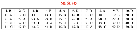 Đề và bài giải môn ngoại ngữ kỳ thi tốt nghiệp THPT 2021 - Ảnh 8. Đề và bài giải môn ngoại ngữ kỳ thi tốt nghiệp THPT 2021 - Ảnh 8.