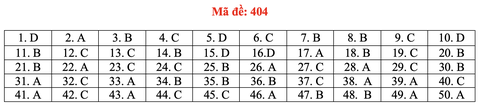 Đề và bài giải môn ngoại ngữ kỳ thi tốt nghiệp THPT 2021 - Ảnh 9. Đề và bài giải môn ngoại ngữ kỳ thi tốt nghiệp THPT 2021 - Ảnh 9.