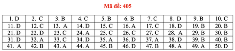 Đề và bài giải môn ngoại ngữ kỳ thi tốt nghiệp THPT 2021 - Ảnh 10. Đề và bài giải môn ngoại ngữ kỳ thi tốt nghiệp THPT 2021 - Ảnh 10.