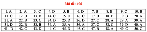 Đề và bài giải môn ngoại ngữ kỳ thi tốt nghiệp THPT 2021 - Ảnh 11. Đề và bài giải môn ngoại ngữ kỳ thi tốt nghiệp THPT 2021 - Ảnh 11.