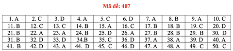 Đề và bài giải môn ngoại ngữ kỳ thi tốt nghiệp THPT 2021 - Ảnh 12. Đề và bài giải môn ngoại ngữ kỳ thi tốt nghiệp THPT 2021 - Ảnh 12.